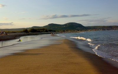 playa-para-perros-en-la-costa-brava